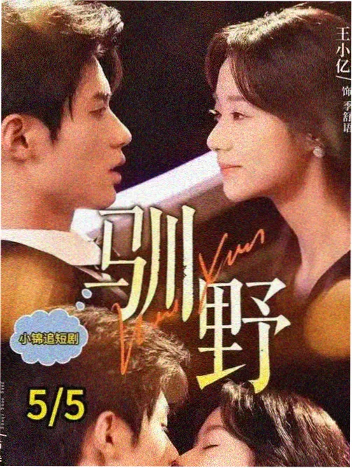 子夜影院治愈剧集山中来信